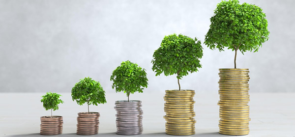 DCB Products Fixed Deposit